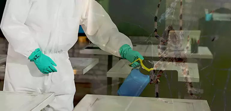Why Buyers Still Want Homes With Pest Infestations in McAllen, TX?